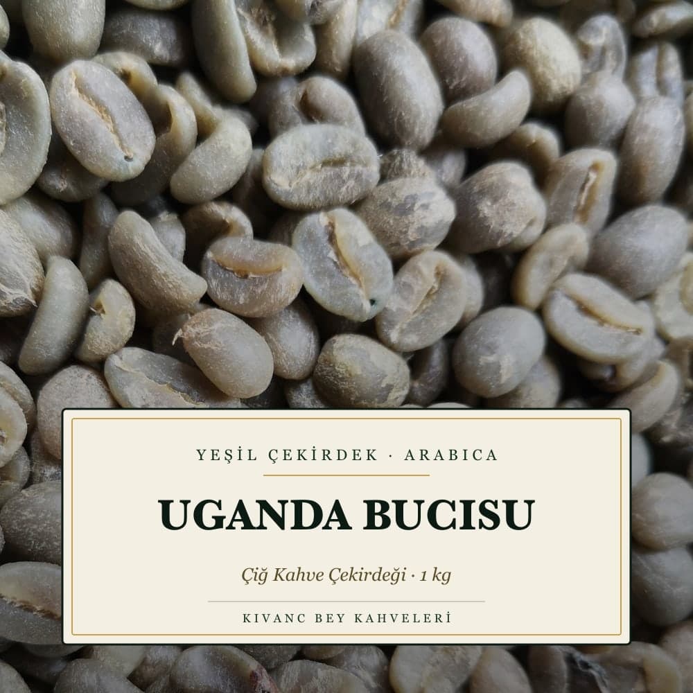 KIVANCBEY YEŞİL ÇEKİRDEK ARABICA UGANDA BUCISU 1000 G