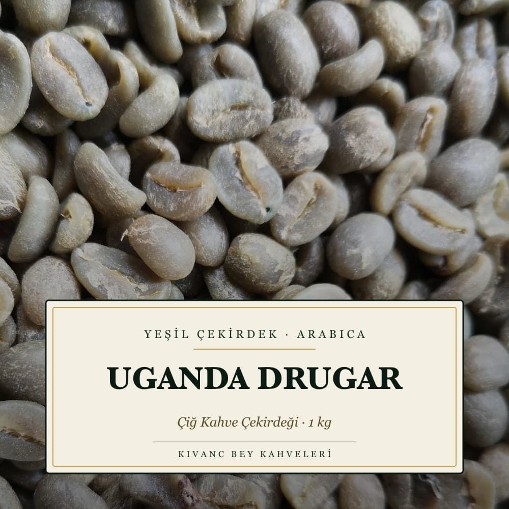 KIVANCBEY YEŞİL ÇEKİRDEK ARABICA UGANDA DRUGAR 1000 G